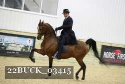 22BUCK_03415 proof