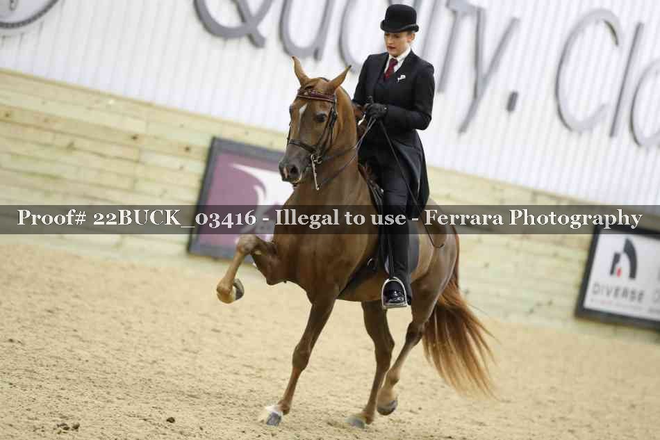 Proof 22BUCK_03416