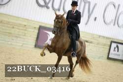 22BUCK_03416 proof