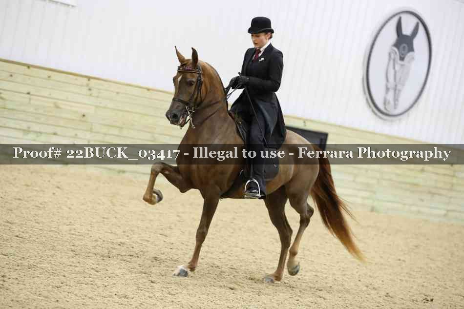 Proof 22BUCK_03417