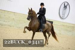 22BUCK_03417 proof