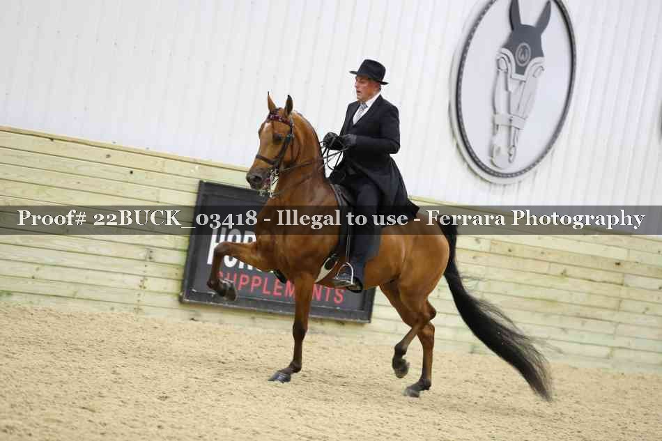 Proof 22BUCK_03418