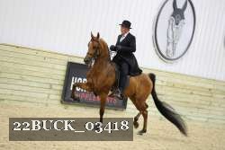 22BUCK_03418 proof