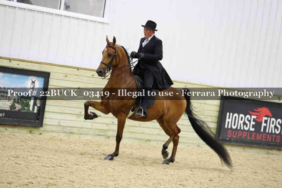 Proof 22BUCK_03419