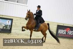 22BUCK_03419 proof