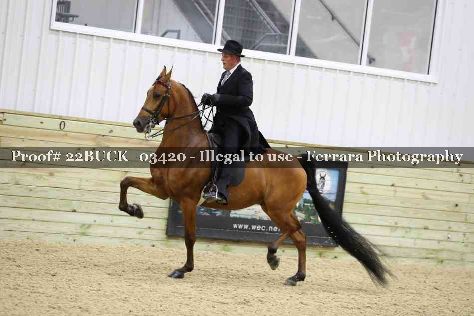 Proof 22BUCK_03420
