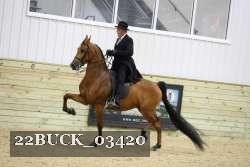 22BUCK_03420 proof