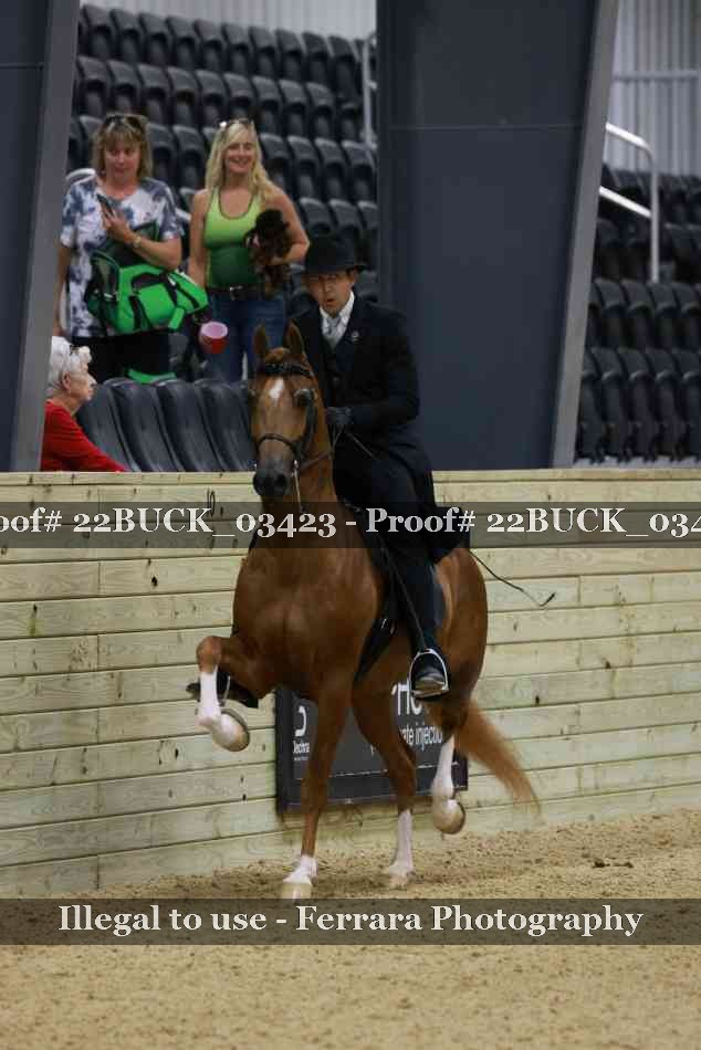 Proof 22BUCK_03423