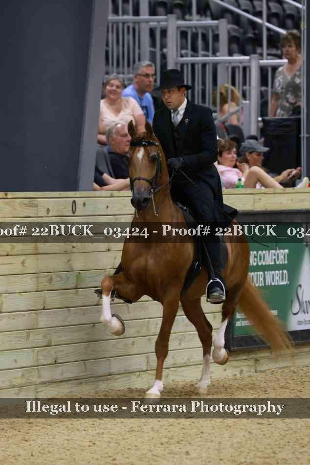 Proof 22BUCK_03424