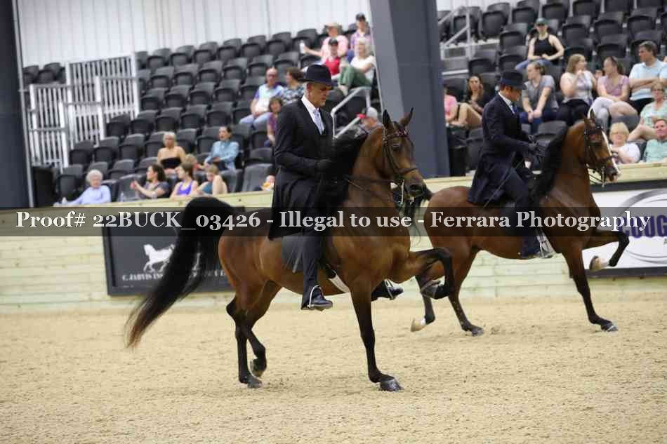 Proof 22BUCK_03426