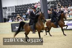22BUCK_03426 proof