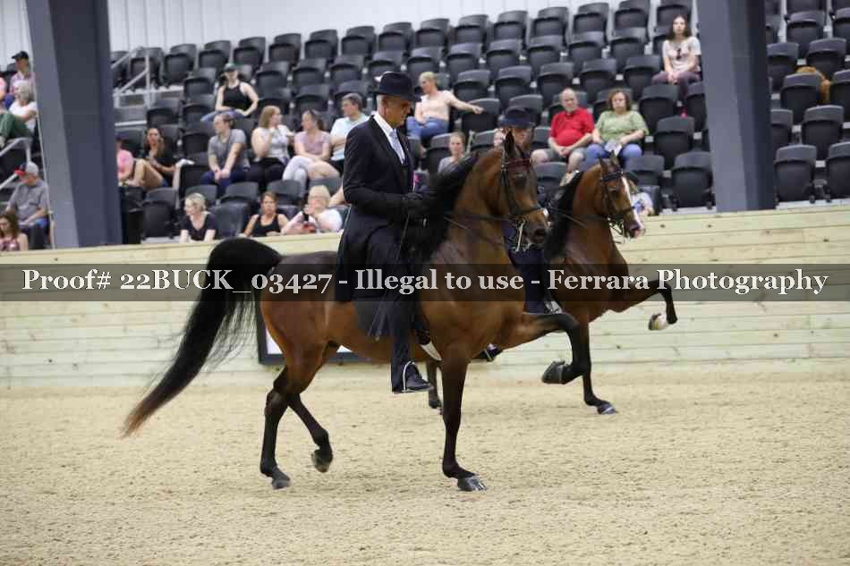 Proof 22BUCK_03427