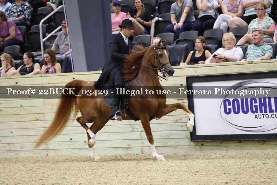 Proof 22BUCK_03429