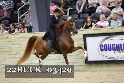22BUCK_03429 proof