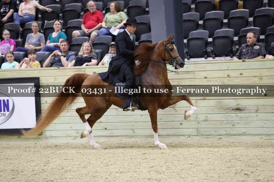 Proof 22BUCK_03431