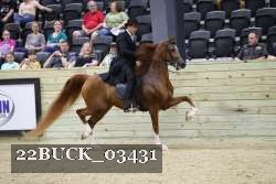 22BUCK_03431 proof