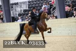 22BUCK_03433 proof