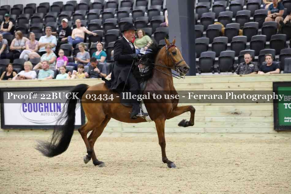 Proof 22BUCK_03434