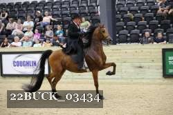 22BUCK_03434 proof