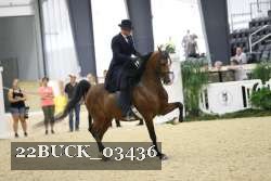 22BUCK_03436 proof