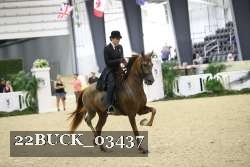 22BUCK_03437 proof