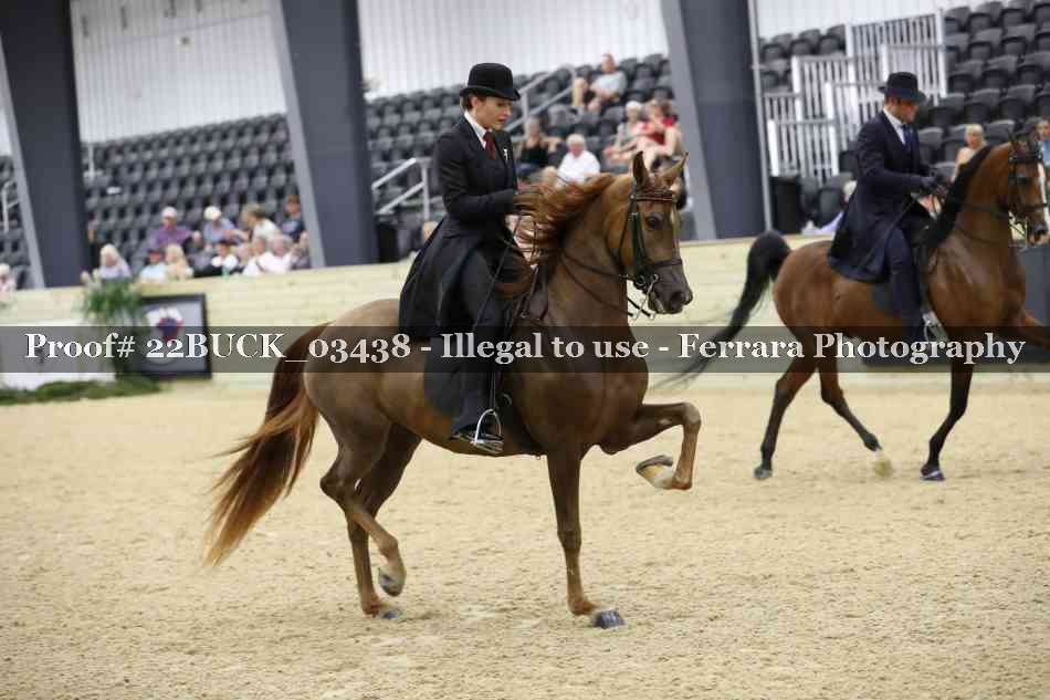 Proof 22BUCK_03438