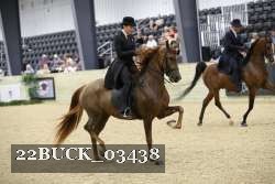 22BUCK_03438 proof