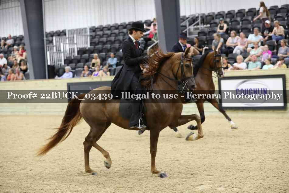 Proof 22BUCK_03439