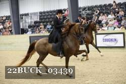 22BUCK_03439 proof
