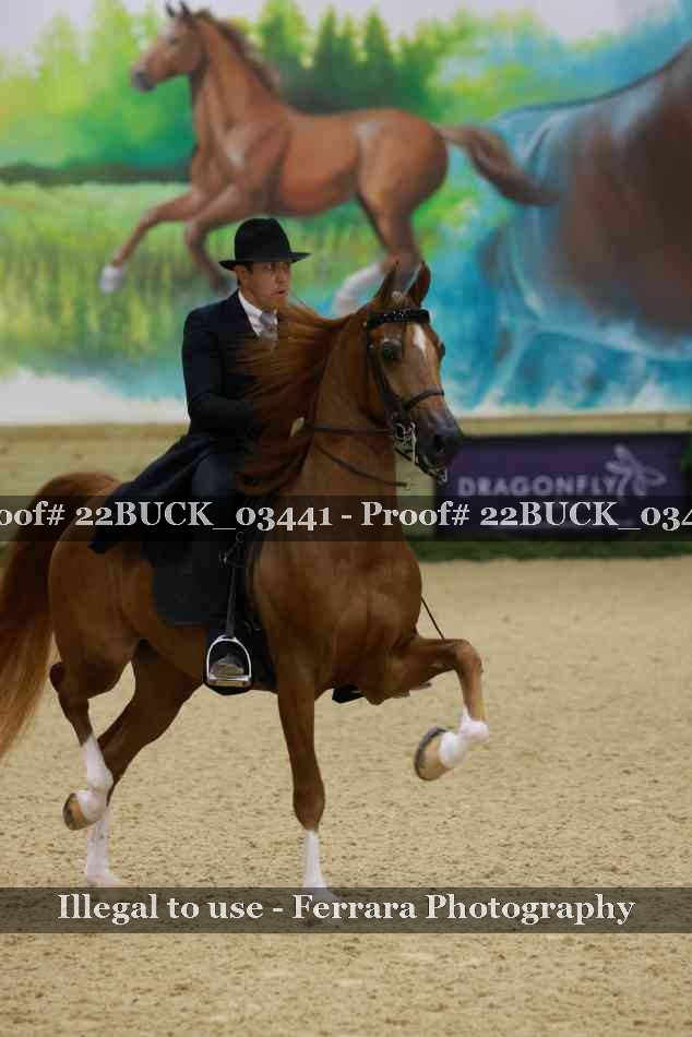 Proof 22BUCK_03441