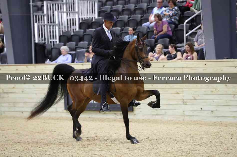 Proof 22BUCK_03442