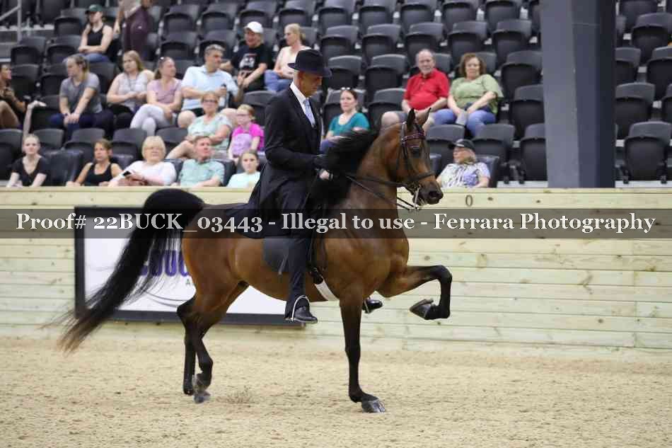 Proof 22BUCK_03443