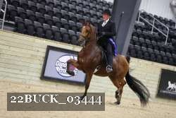 22BUCK_03444 proof