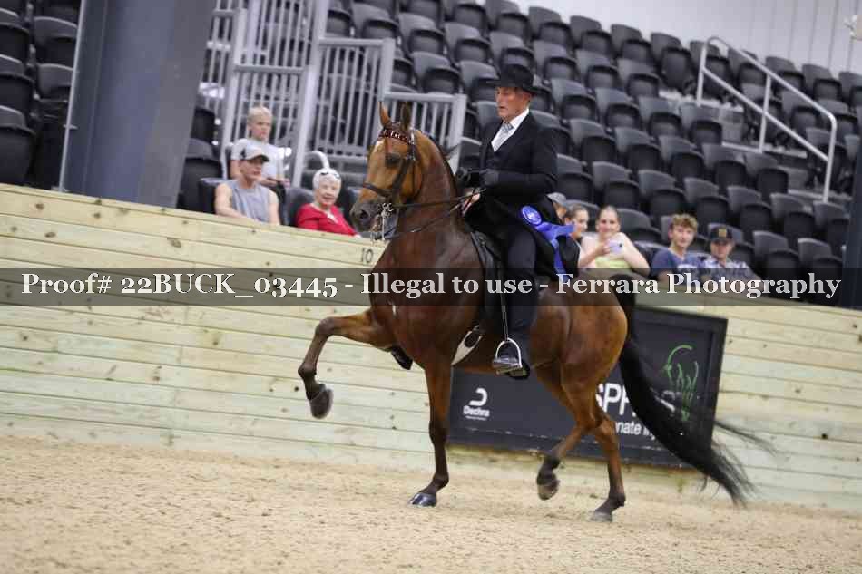 Proof 22BUCK_03445