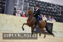22BUCK_03445 proof