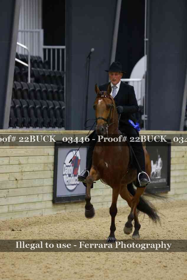 Proof 22BUCK_03446