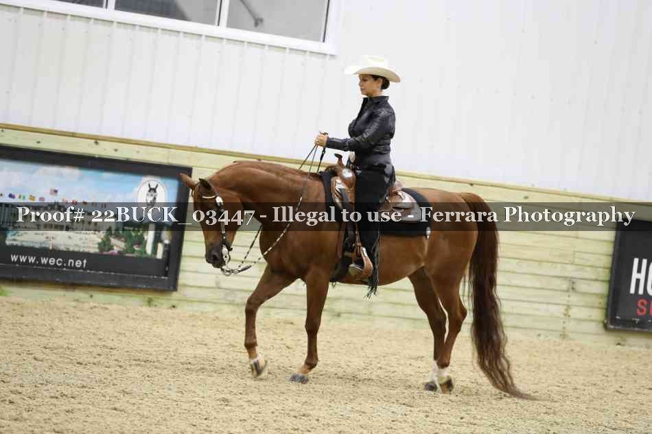 Proof 22BUCK_03447