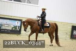 22BUCK_03447 proof