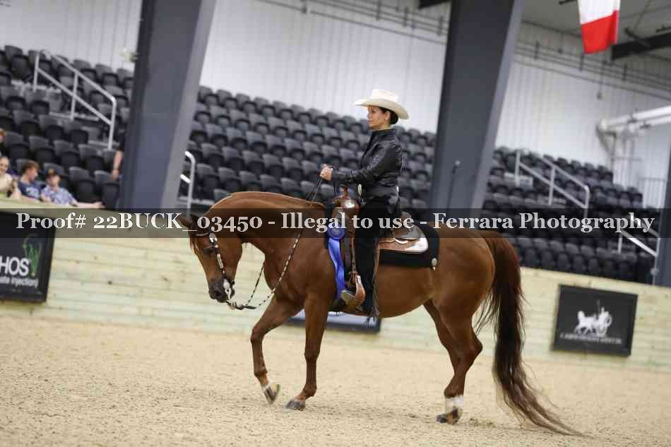 Proof 22BUCK_03450
