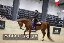 22BUCK_03450 proof