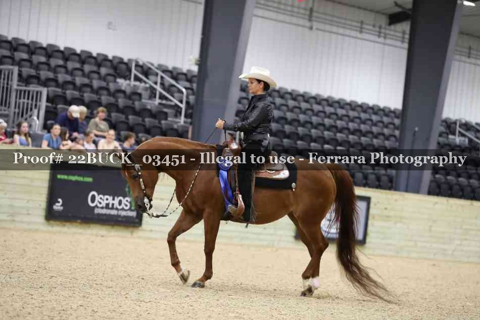 Proof 22BUCK_03451