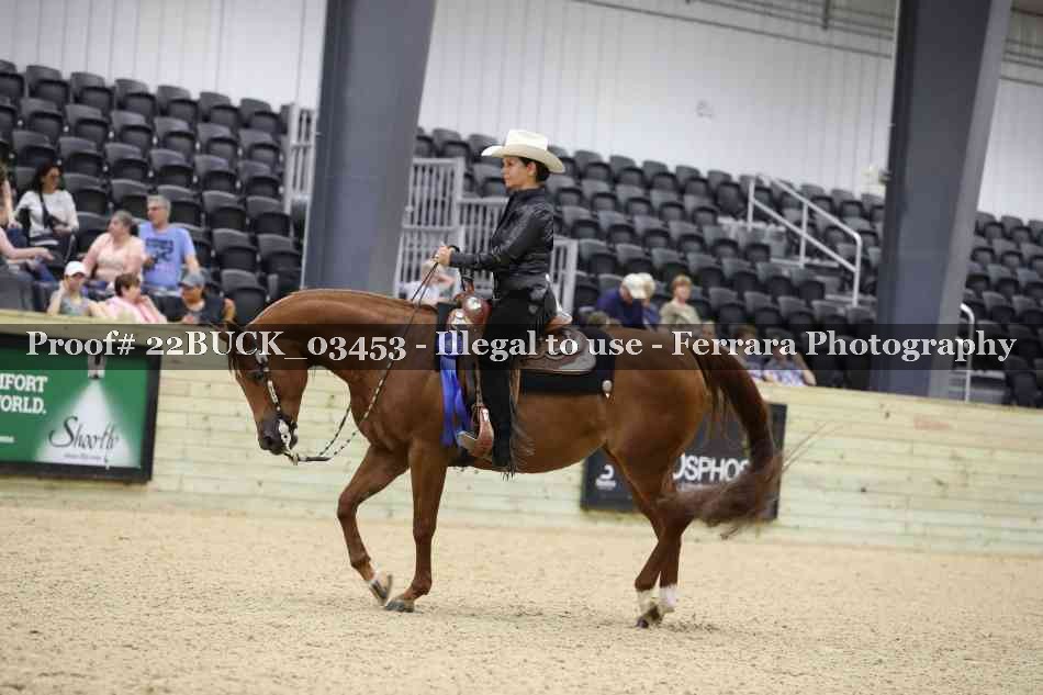 Proof 22BUCK_03453