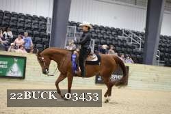 22BUCK_03453 proof