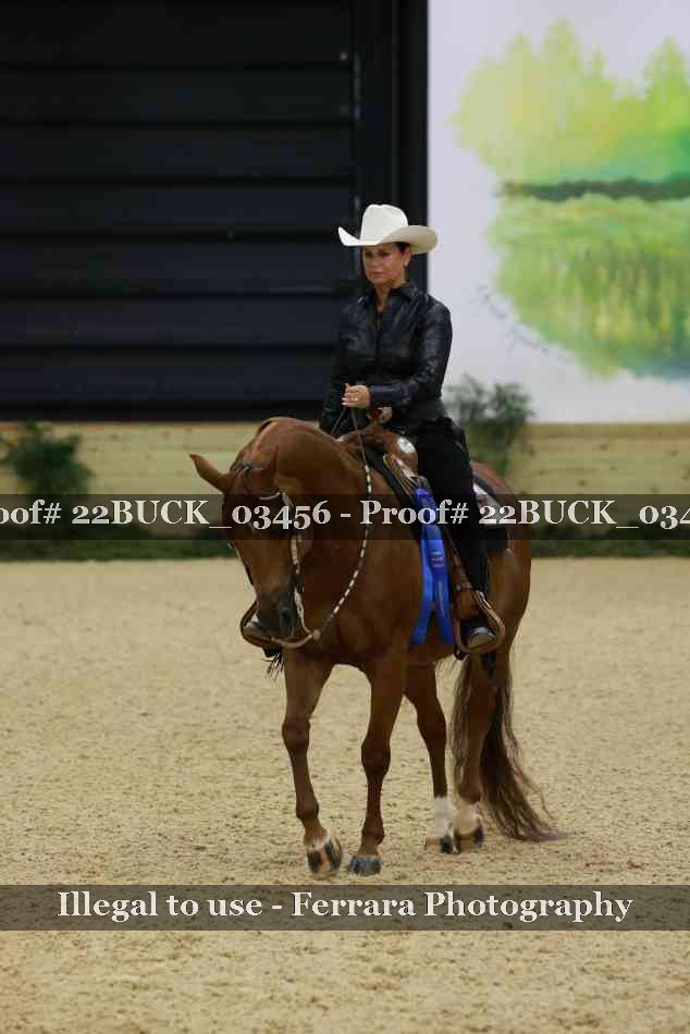 Proof 22BUCK_03456