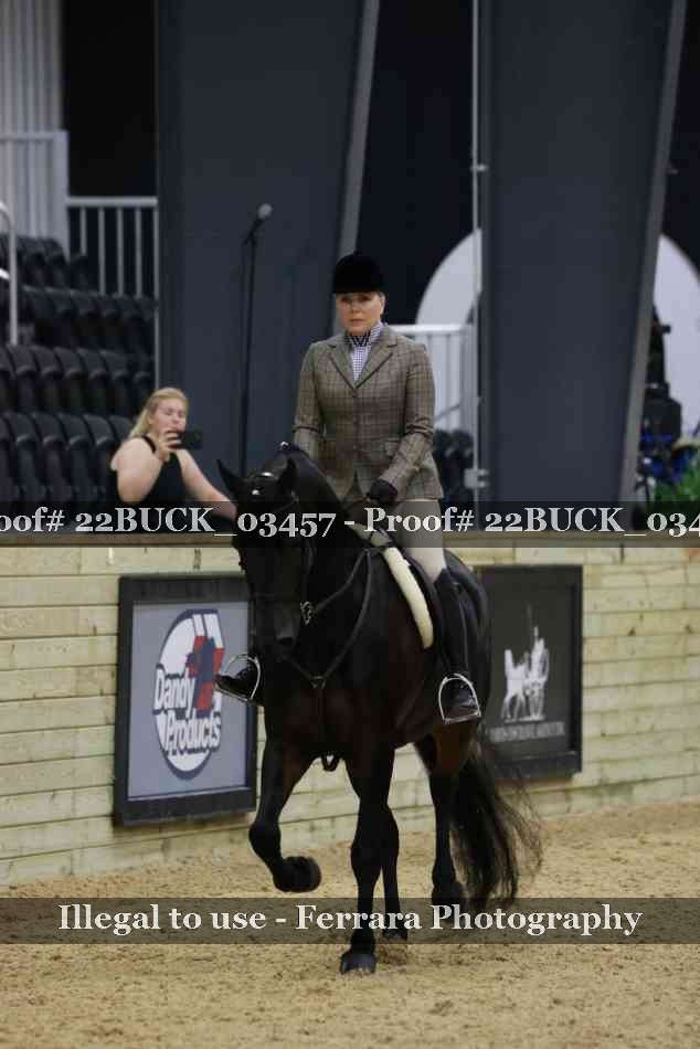 Proof 22BUCK_03457