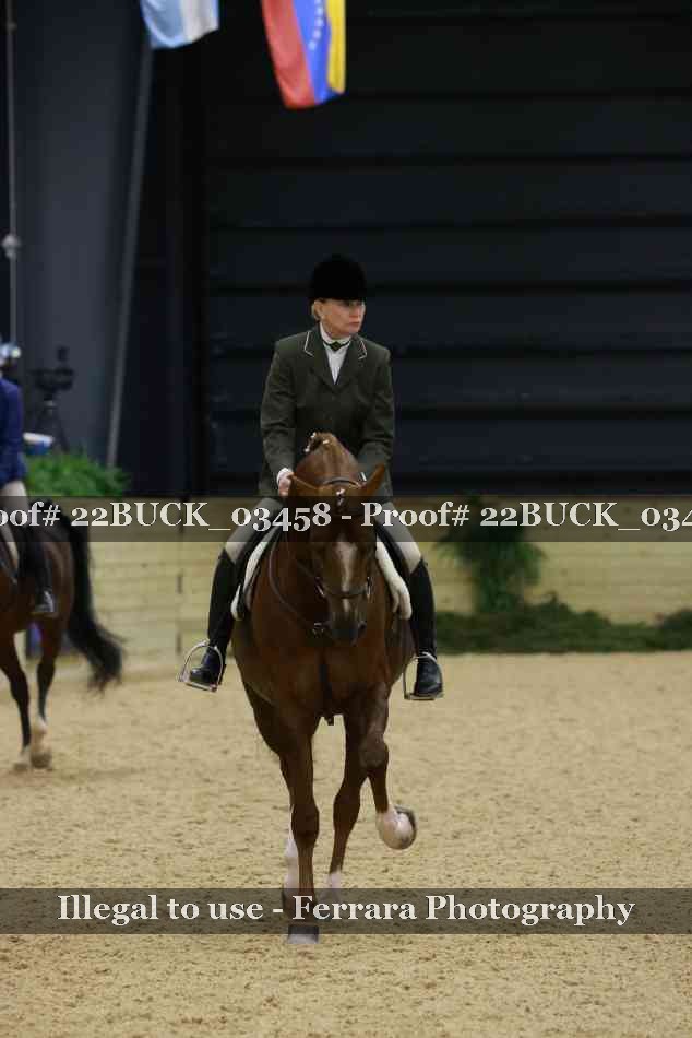 Proof 22BUCK_03458
