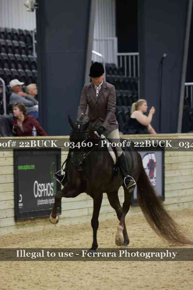 Proof 22BUCK_03460