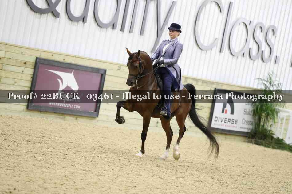 Proof 22BUCK_03461