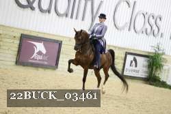 22BUCK_03461 proof