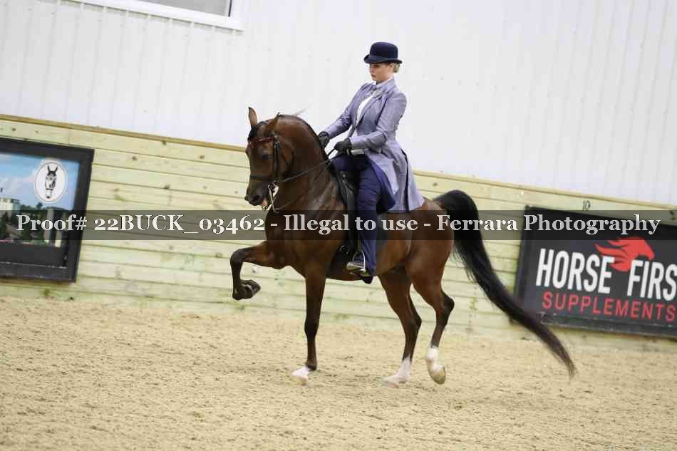 Proof 22BUCK_03462